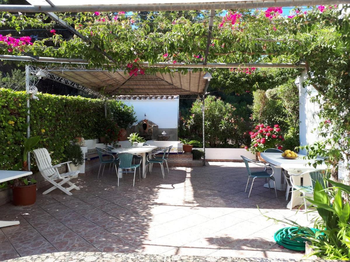 Villa Paradise Private Pool And Garden In A Natural Park For 9 Jávea エクステリア 写真